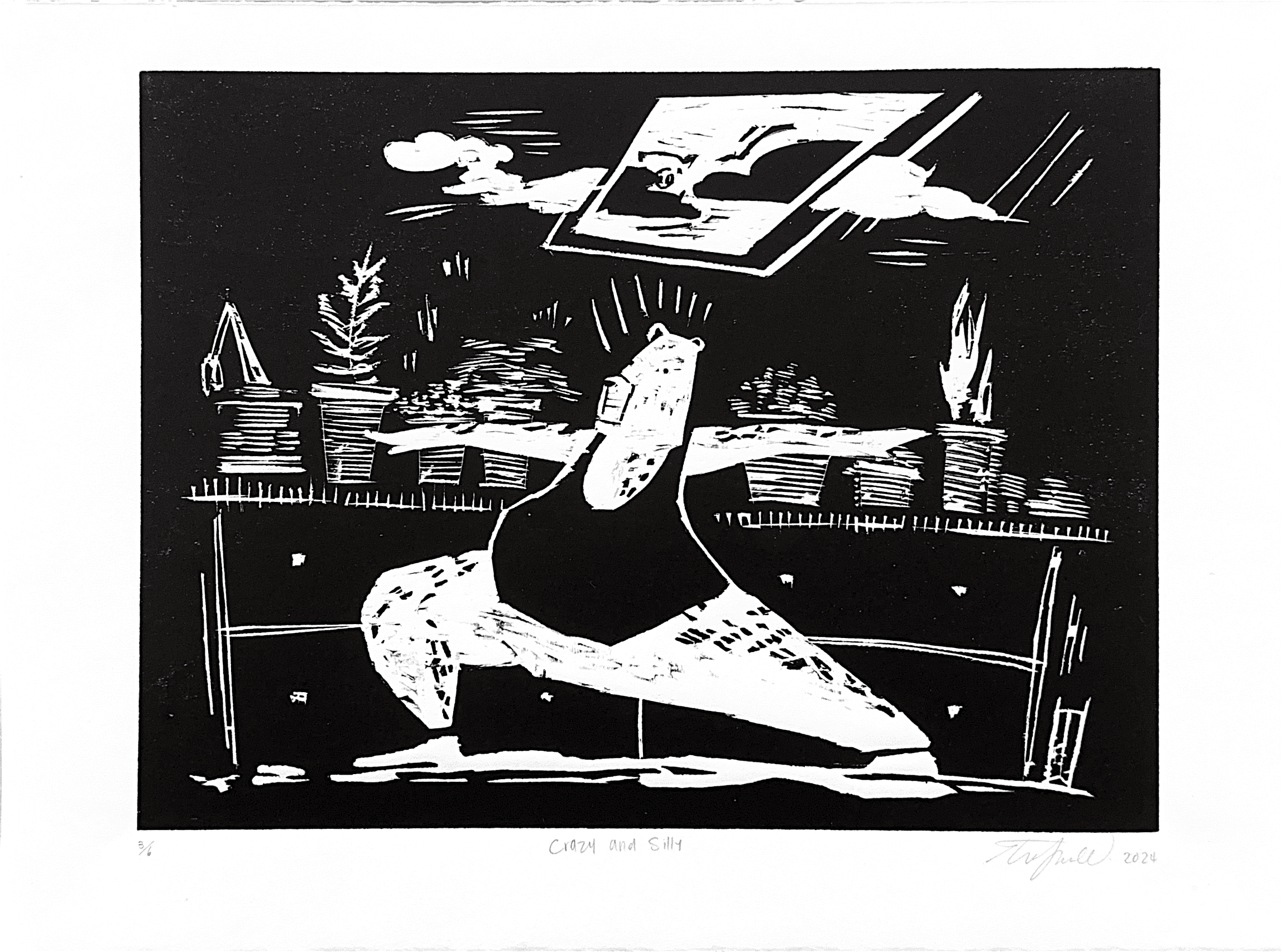 Crazy and Silly image 2