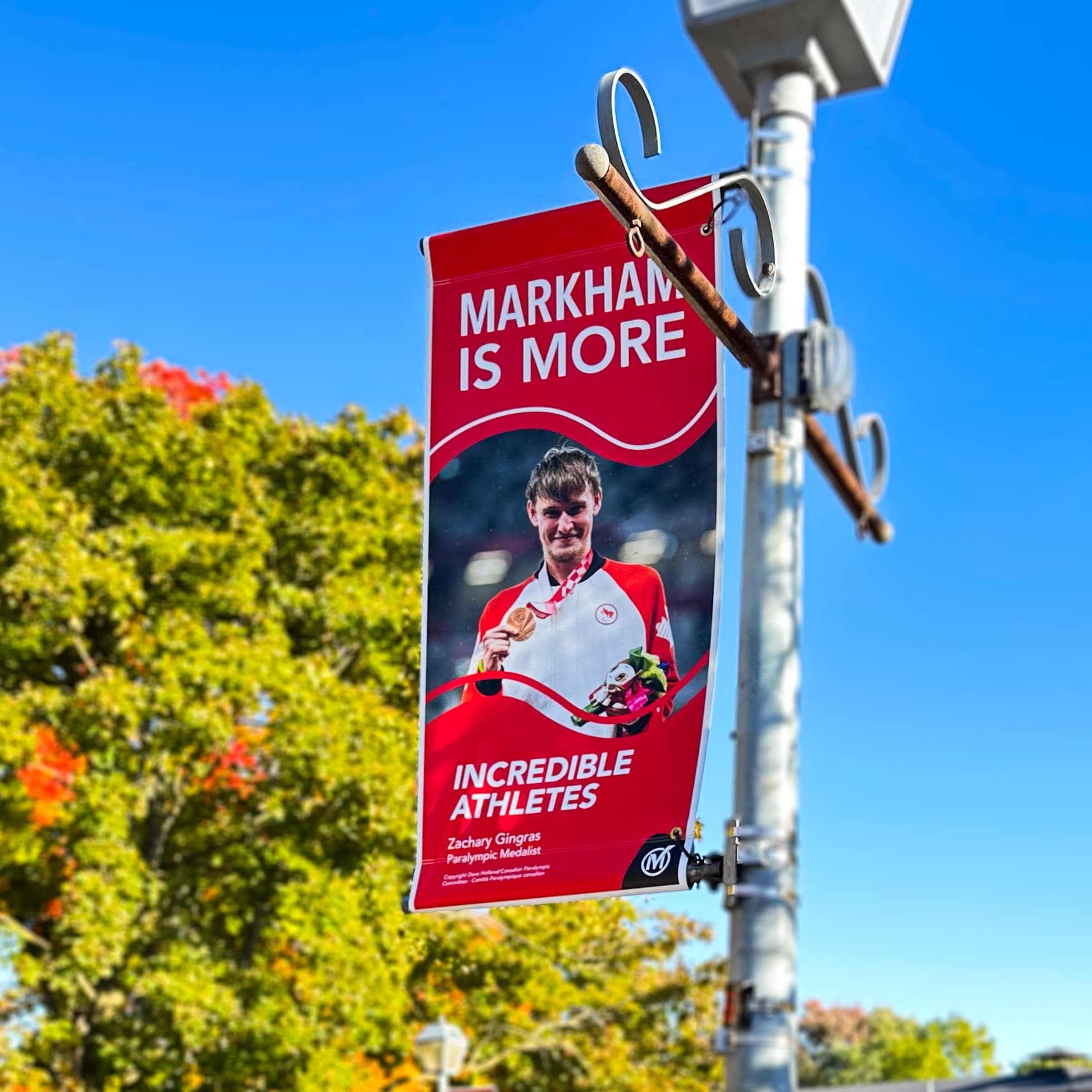 Markham is More image 3